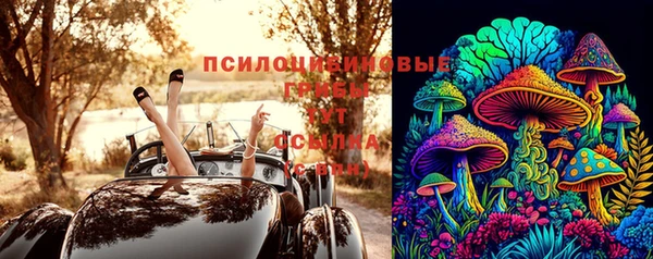 МДПВ Аркадак